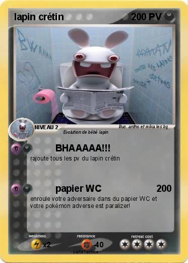 Pokemon lapin crétin