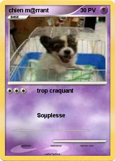 Pokemon chien m@rrant