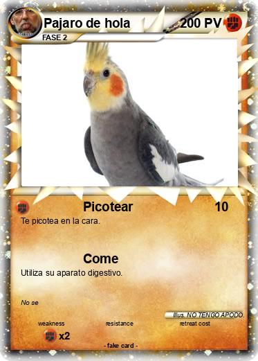 Pokemon Pajaro de hola
