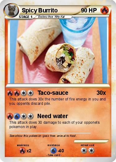 Pokemon Spicy Burrito
