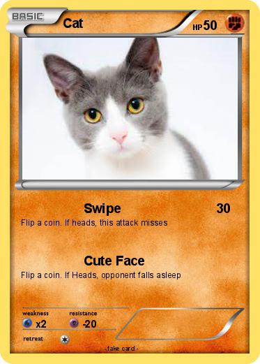 Pokemon Cat
