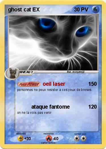 Pokemon ghost cat EX