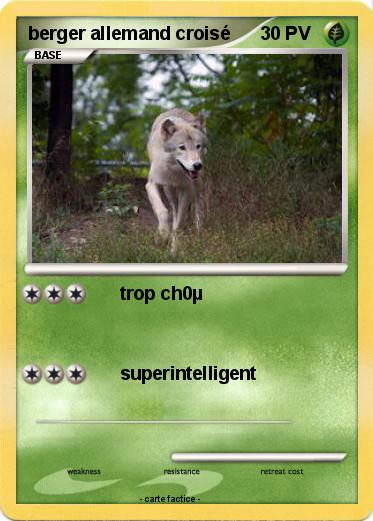 Pokemon berger allemand croisé