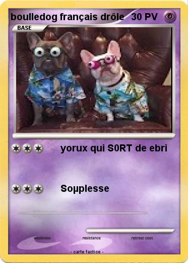 Pokemon boulledog français drôle