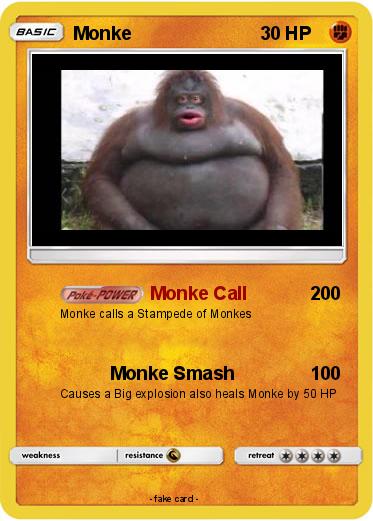 Pokemon Monke