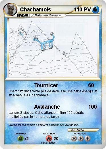 Pokemon Chachamois