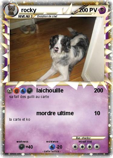 Pokemon rocky