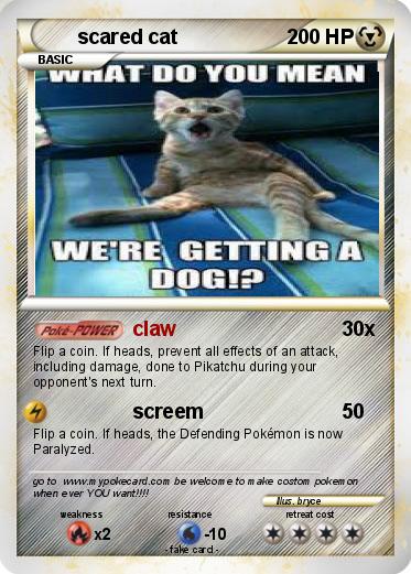 Pokemon scared cat