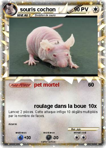 Pokemon souris cochon