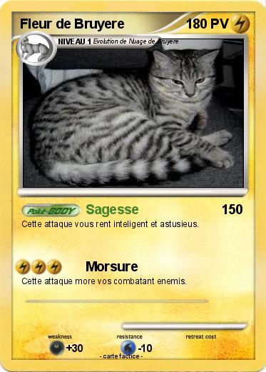 Pokemon Fleur de Bruyere