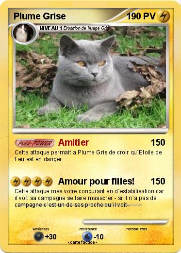 Pokemon Plume Grise