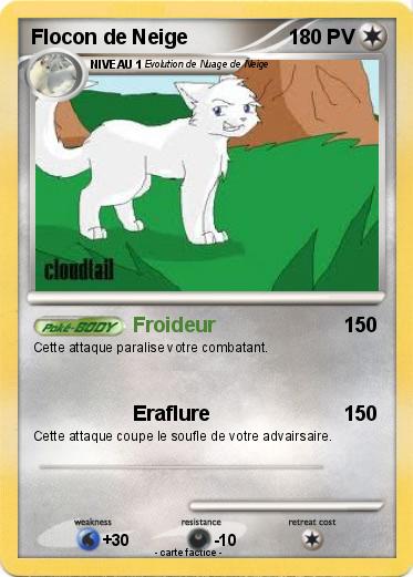 Pokemon Flocon de Neige