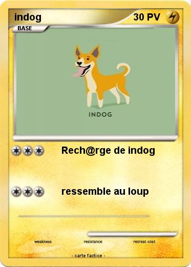 Pokemon indog