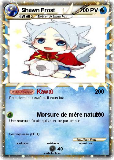 Pokemon Shawn Frost