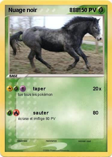 Pokemon Nuage noir                     888