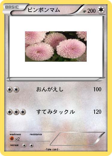 Pokemon ピンポンマム