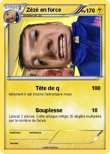 Pokemon Zézé en force