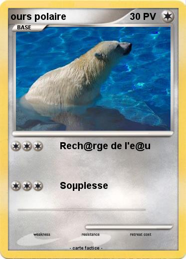 Pokemon ours polaire