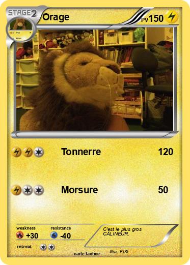Pokemon Orage