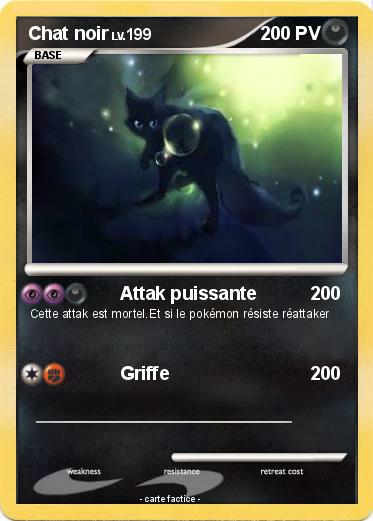 Pokemon Chat noir
