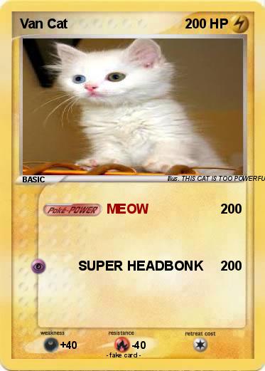 Pokemon Van Cat