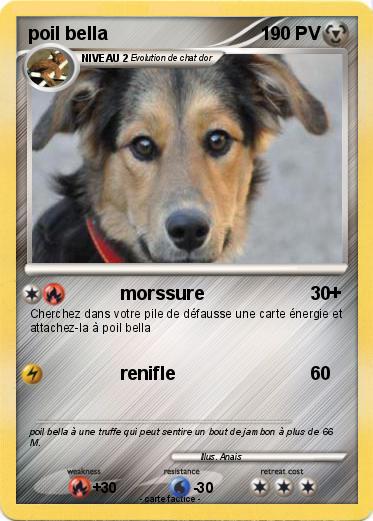 Pokemon poil bella