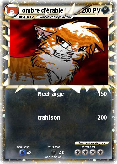 Pokemon ombre d'érable