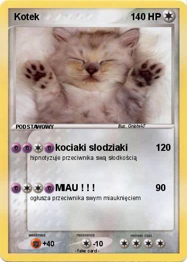 Pokemon Kotek