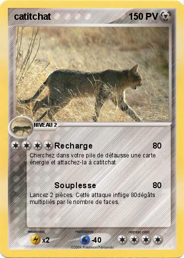 Pokemon catitchat