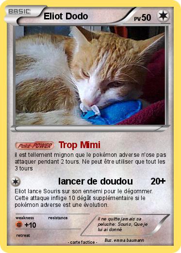Pokemon Eliot Dodo
