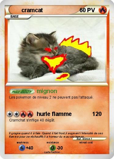 Pokemon cramcat