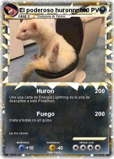 Pokemon El poderoso huronnnnn