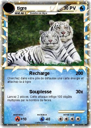 Pokemon tigre