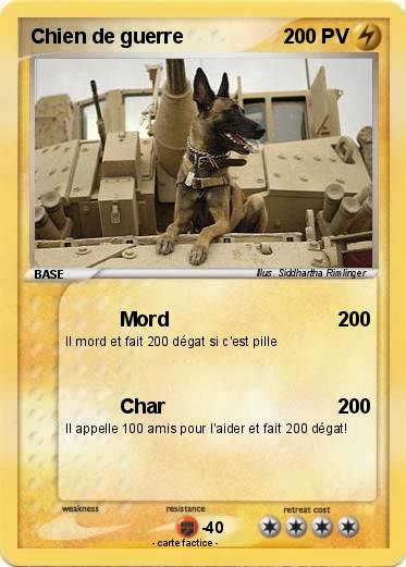 Pokemon Chien de guerre