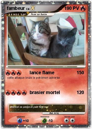 Pokemon fambeur