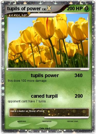 Pokemon tupils of power