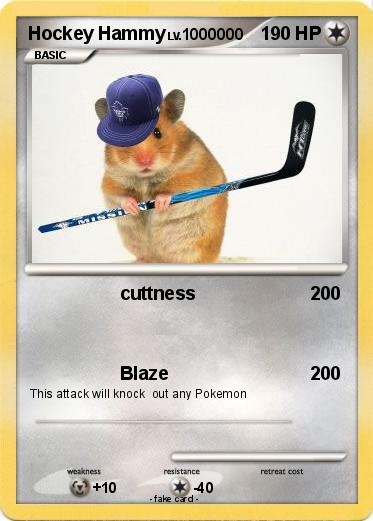 Pokemon Hockey Hammy