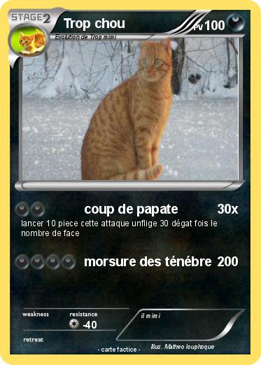 Pokemon Trop chou