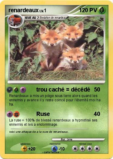 Pokemon renardeaux