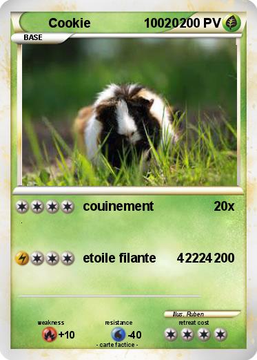 Pokemon Cookie               10020