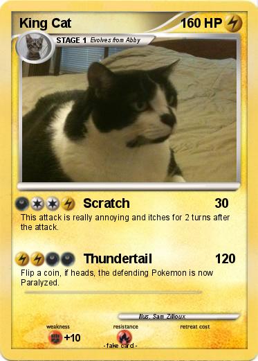 Pokemon King Cat