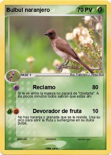 Pokemon Bulbul naranjero