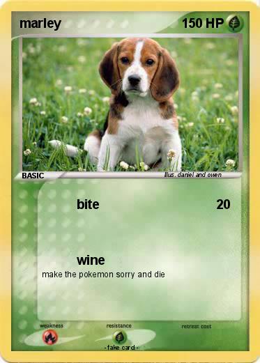 Pokemon marley