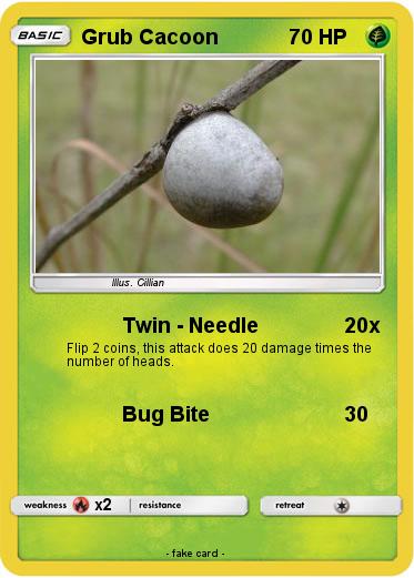 Pokemon Grub Cacoon