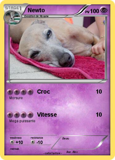 Pokemon Newto