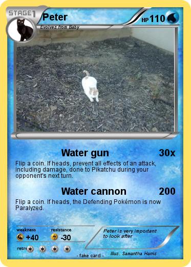 Pokemon Peter