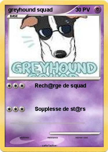 Pokemon greyhound squad