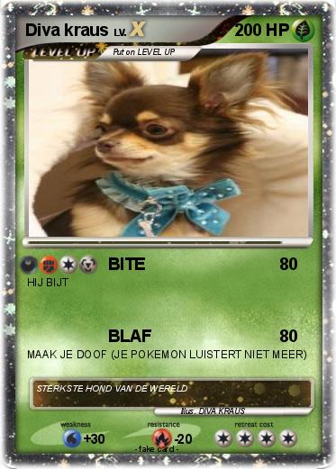 Pokemon Diva kraus