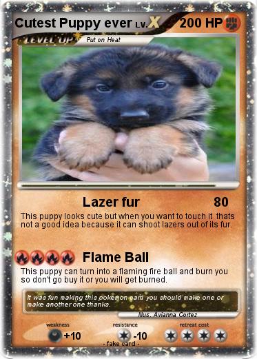 Pokemon Cutest Puppy ever