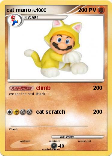Pokemon cat mario